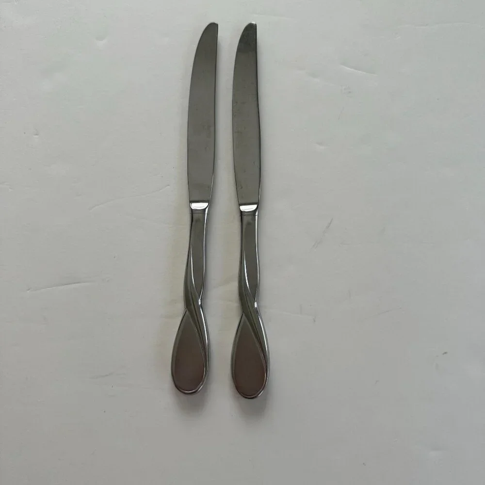 Oneida Aquarius Stainless Steel Butter 9.75